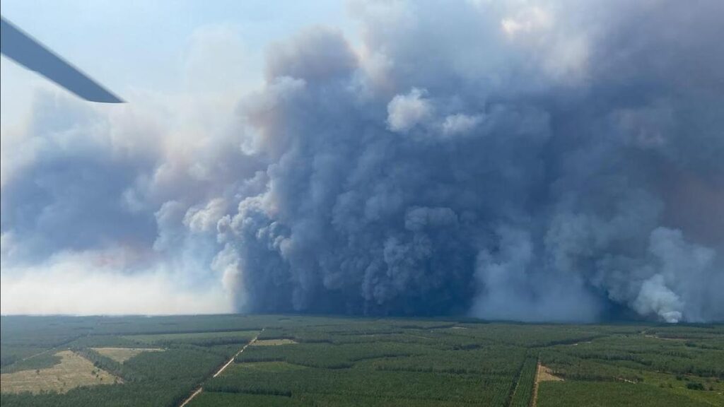 Wildfires approach Bordeaux as man dies in Spain blaze