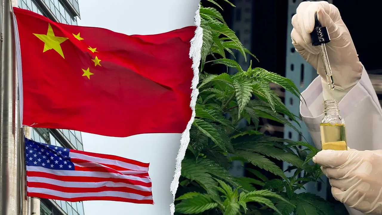 Chad Wolf urges Congress to probe China’s role in THC hemp market