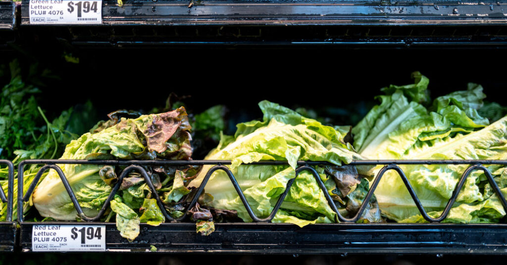 ‘Lettuce or Salad Greens’ Identified as Potential Source of Cyclospora Outbreak