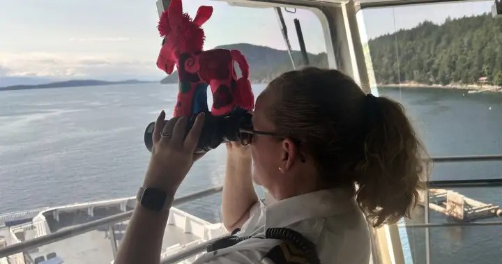 Churro the Burro’s adventure on BC Ferries delights thousands – BC