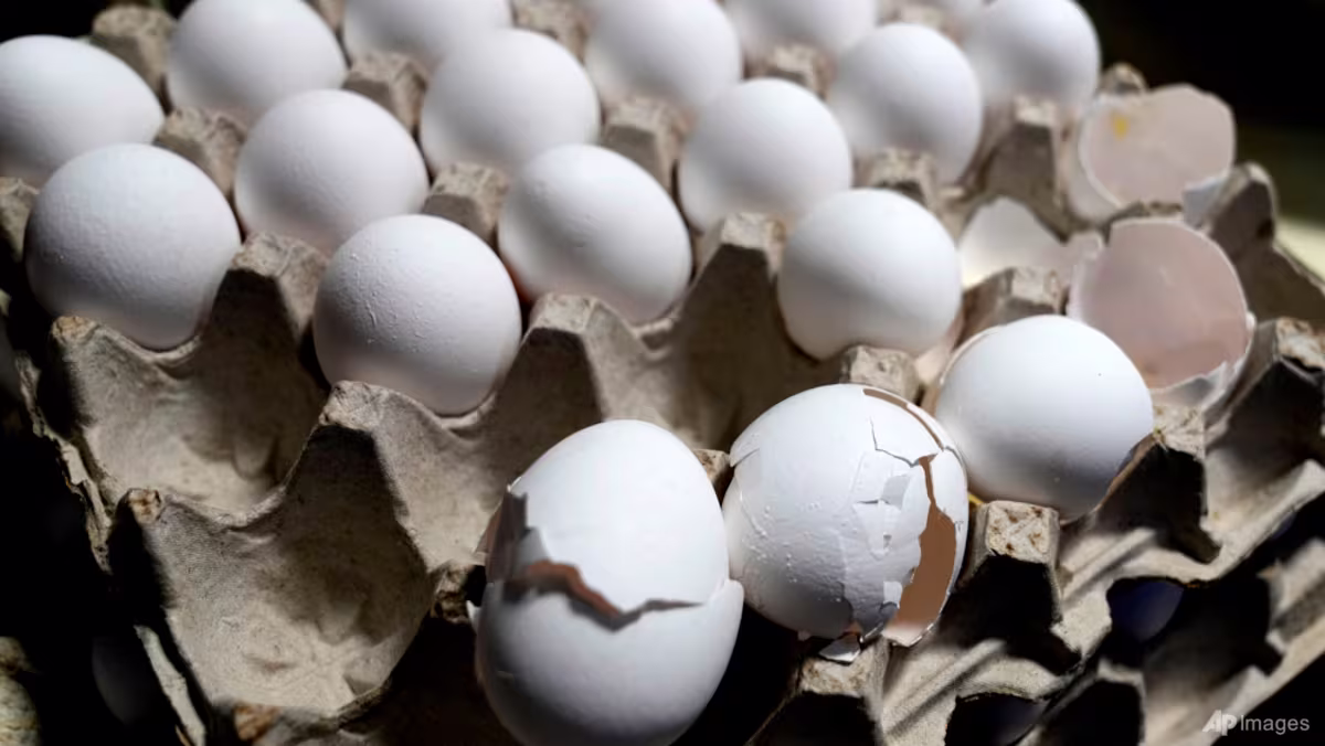 Egg-free school meals scramble politics in India