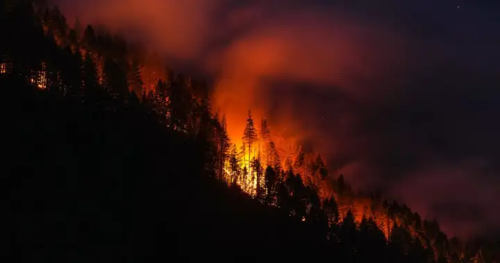 Is Canada doing enough to prevent forest fires from getting out of control? – National