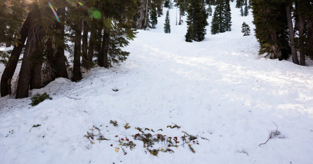 Blackbird Mountain Guides Report on Lake Tahoe Avalanche That Killed 9 Skiers Assigns No Blame.
