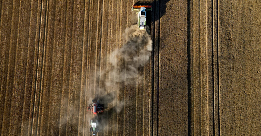 The Price of Bread – The New York Times