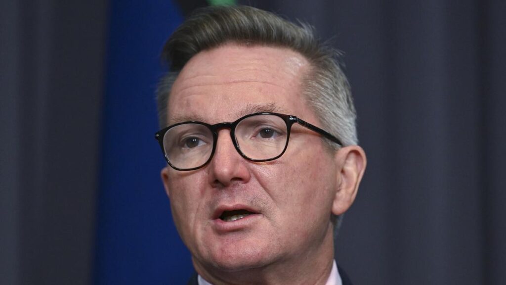 Mark Riley: Chris Bowen’s embarrassing backdown as green data dream takes major blow