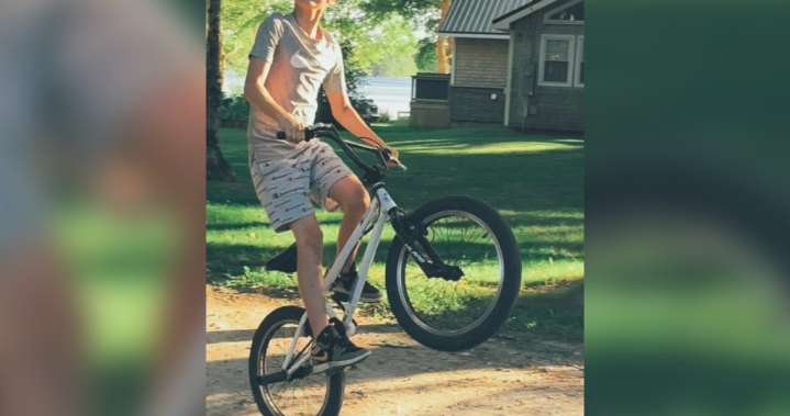 No charges laid after N.S. boy killed in dog attack: RCMP – Halifax