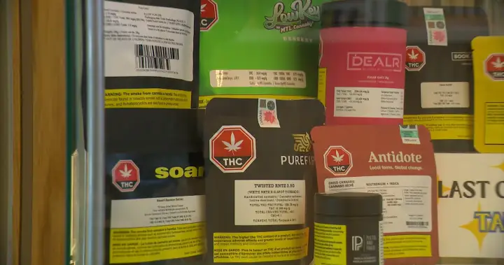 Ottawa pledges millions to study cannabis mental health, pregnancy impacts – National