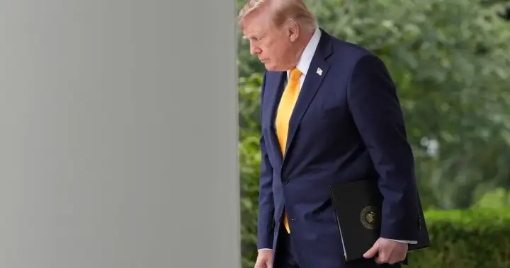 Would U.S. tariffs actually change after Trump, or is this the new normal? – National