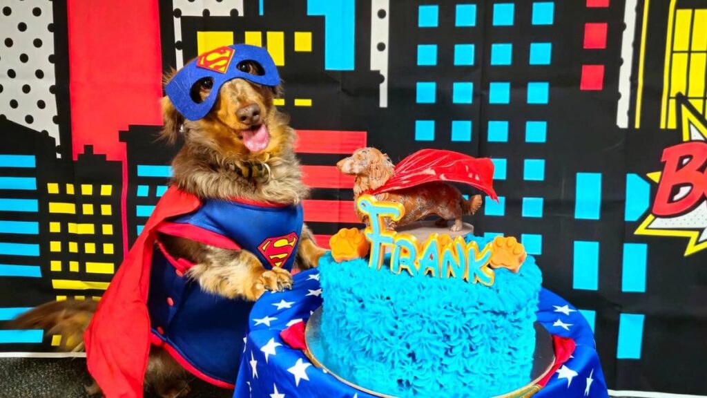 Special furry friend celebrates birthday in style