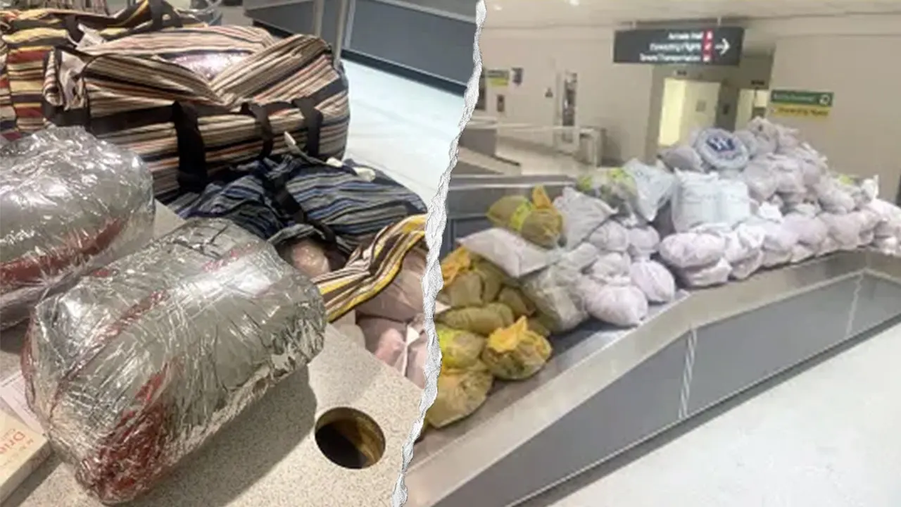Khat seizure of 847 pounds at Baltimore airport tied to 2 travelers