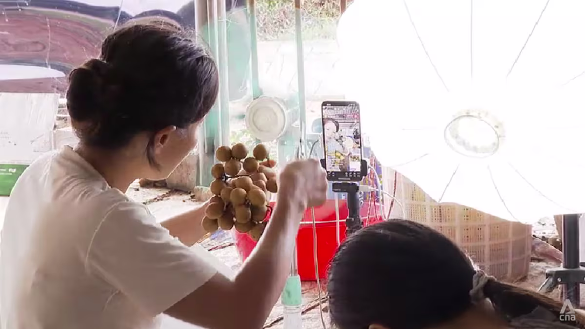 As typhoon risks grow, farmers in China’s Guangdong adapt to protect their livelihoods