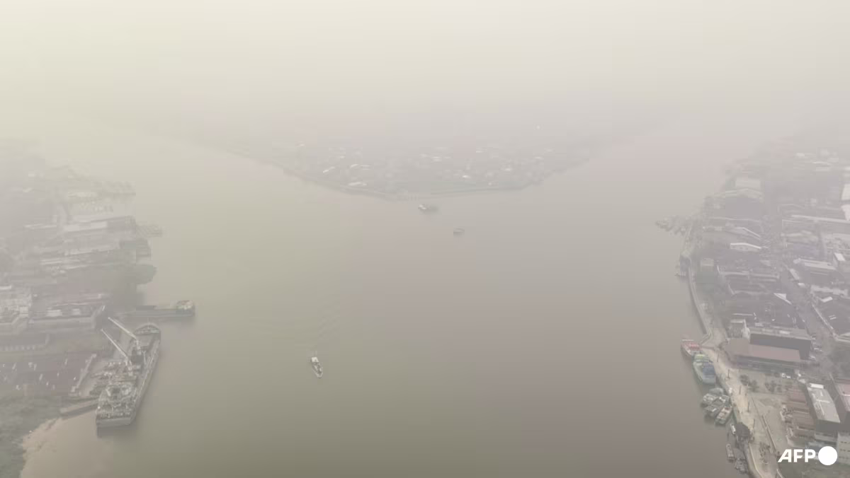 Indonesia closes 9 national parks temporarily following forest fires; prioritises firefighting in 6 provinces