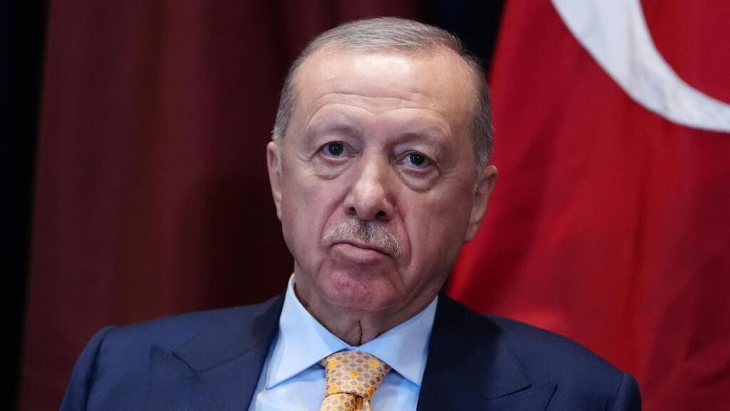 Comedian convicted of insulting Turkish president