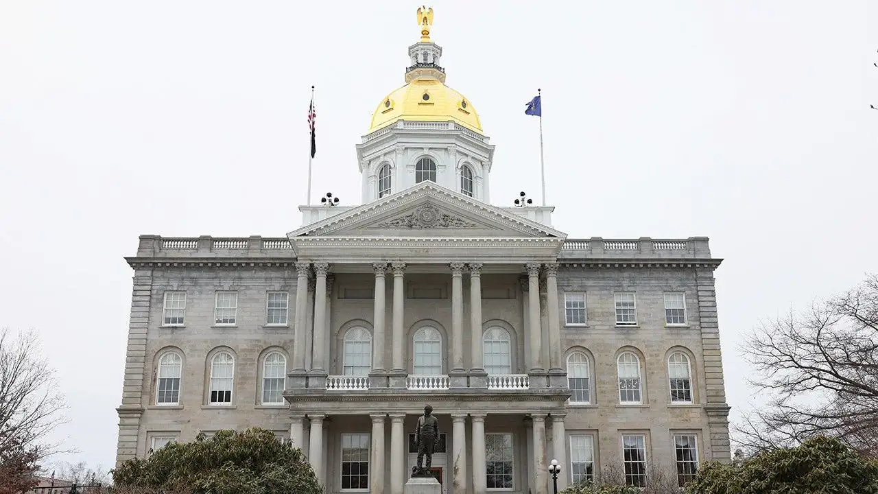 New Hampshire businessman/woman wins primary to try and flip House seat