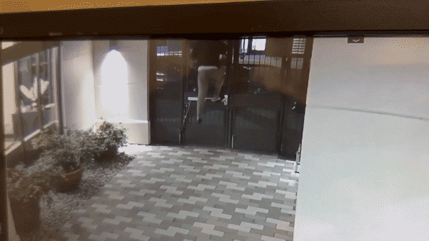 UC Berkeley student allegedly chased home on video by man police can’t arrest