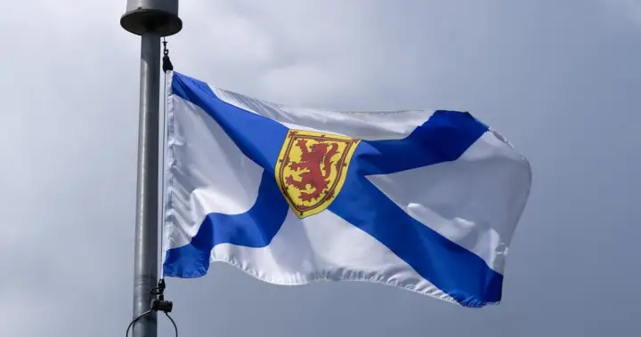 Lawyer says new bill could cause ramped up surveillance of vulnerable Nova Scotians – Halifax