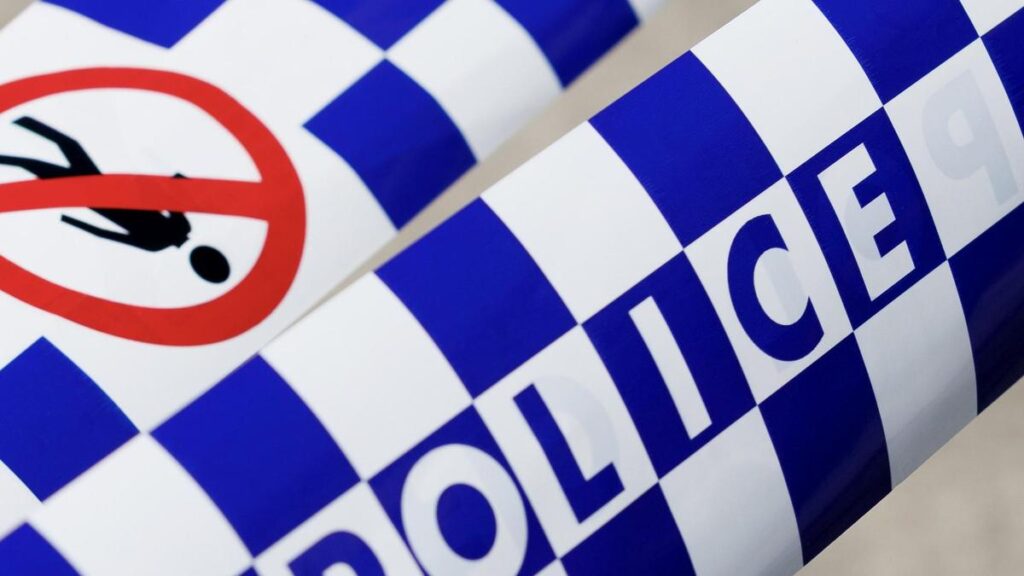 Man charged with domestic violence murder after allegedly stabbing 90-year-old woman