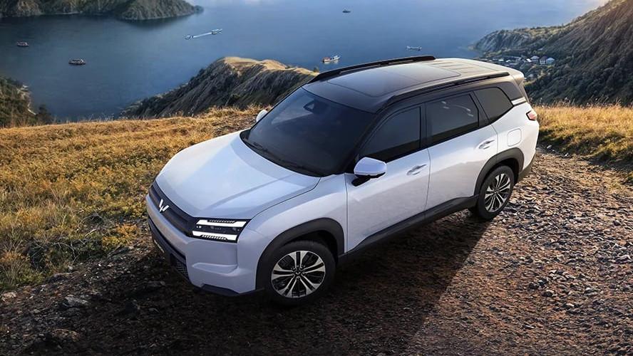 Chinese joint-venture partner bypassing GM with Australian entry