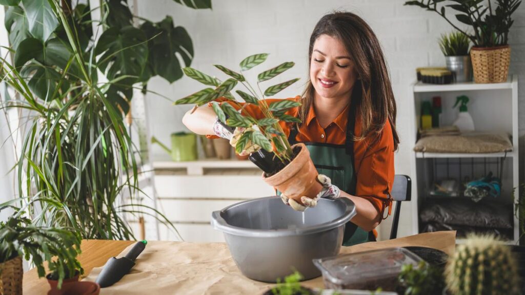 ‘Funflation’ making hobbies pricier but West Australians are still splurging, new spending data shows