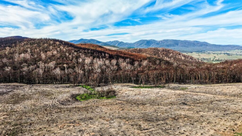 WFI Insurance is reminding farmers to be viligiant of fire risks as long & hot summer approaches