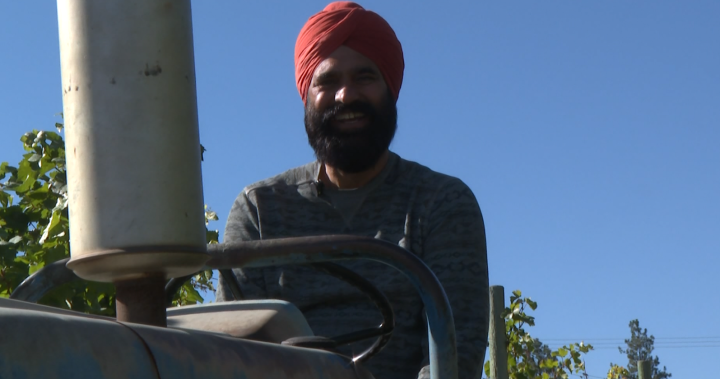 Okanagan growers say crop insurance isn’t keeping up with a changing climate