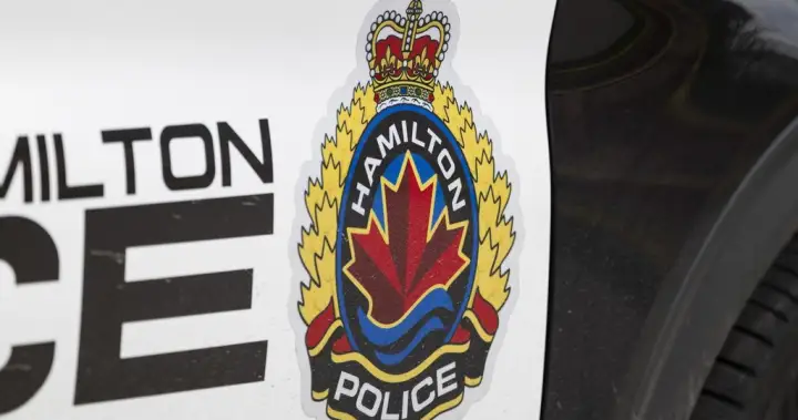 Six puppies ‘in distress’ rescued by police in Hamilton
