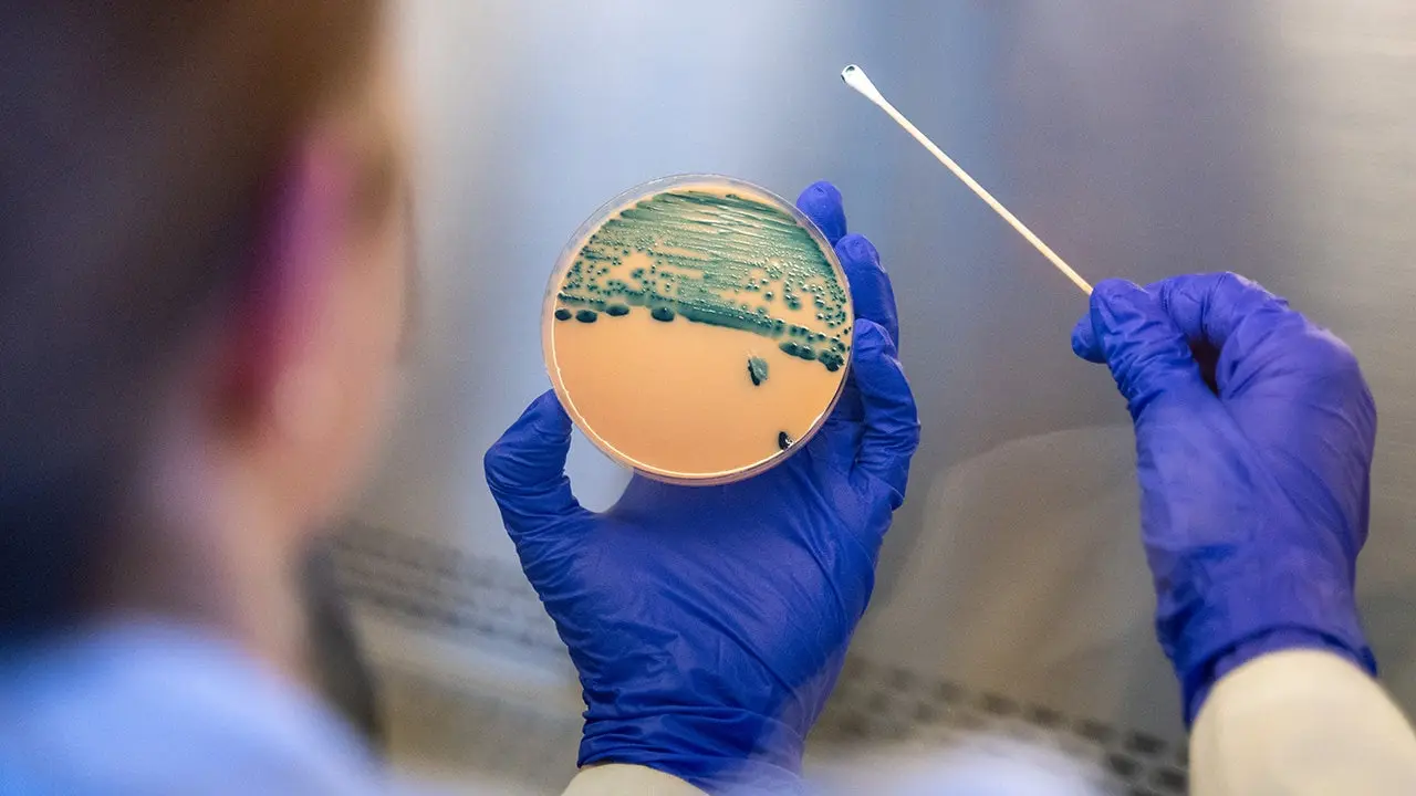 Shigella antibiotic resistance rising as drug-resistant strains grow