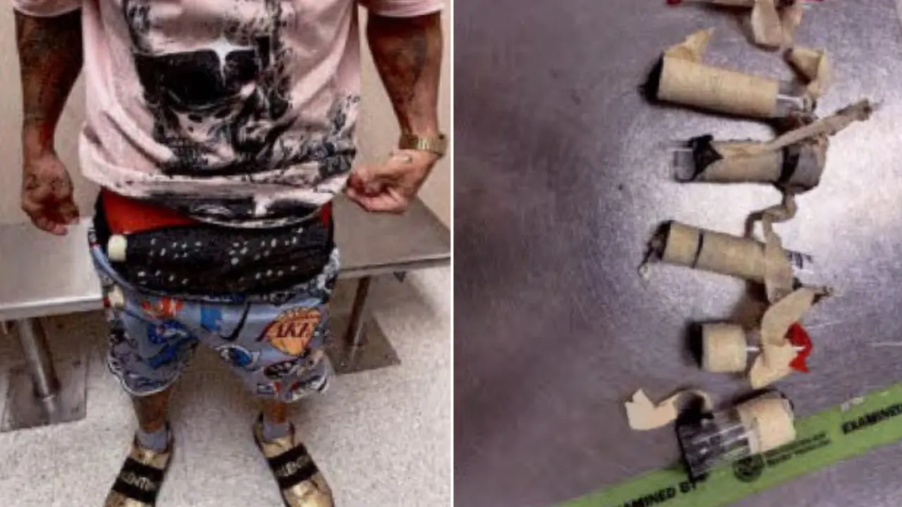 Miami airport traveler is charged with smuggling in live birds from Havana, Cuba