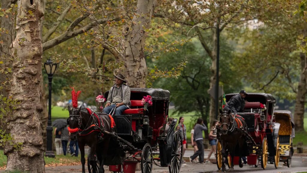 NYC Council votes to ban horse-drawn carriages in Central Park by 2028